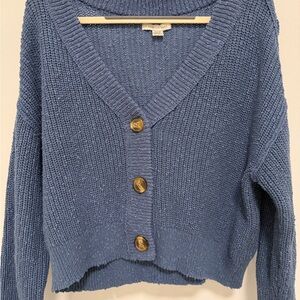 American Eagle Outfitters Blue Cardigan Sweater